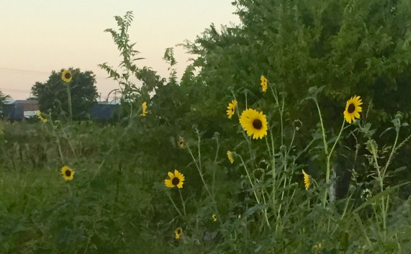 Let’s Talk About The Root of All Evil. I Mean…&nbsp;Money.